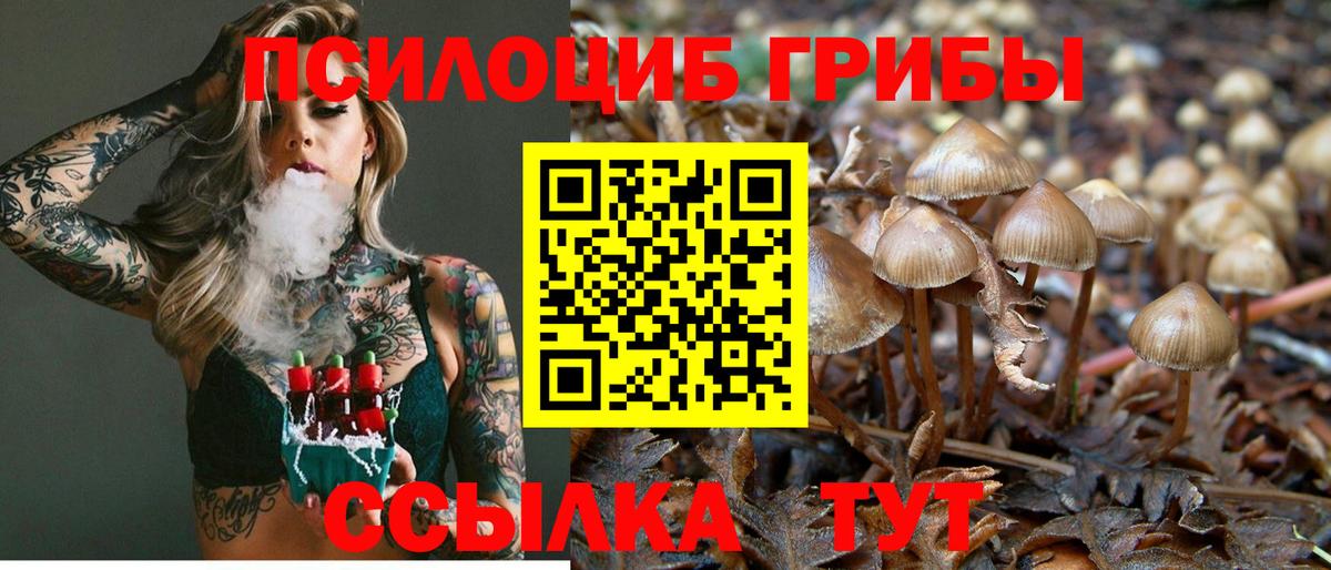 Галлюциногенные грибы прущие грибы  Вход с VPN  Вольск 