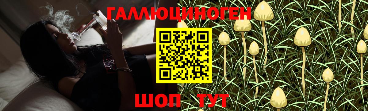 Псилоцибиновые грибы мухоморы Вольск